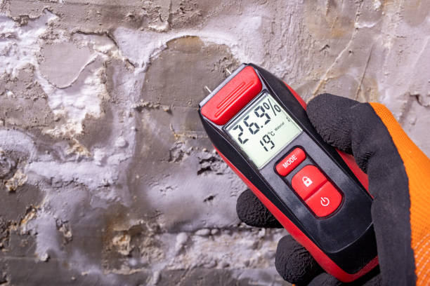 Best Bathroom Mold Remediation in East Alton, IL