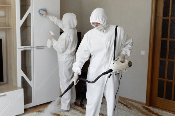 Best Localized Mold Remediation (e.g., coastal areas, humid climates) in East Alton, IL